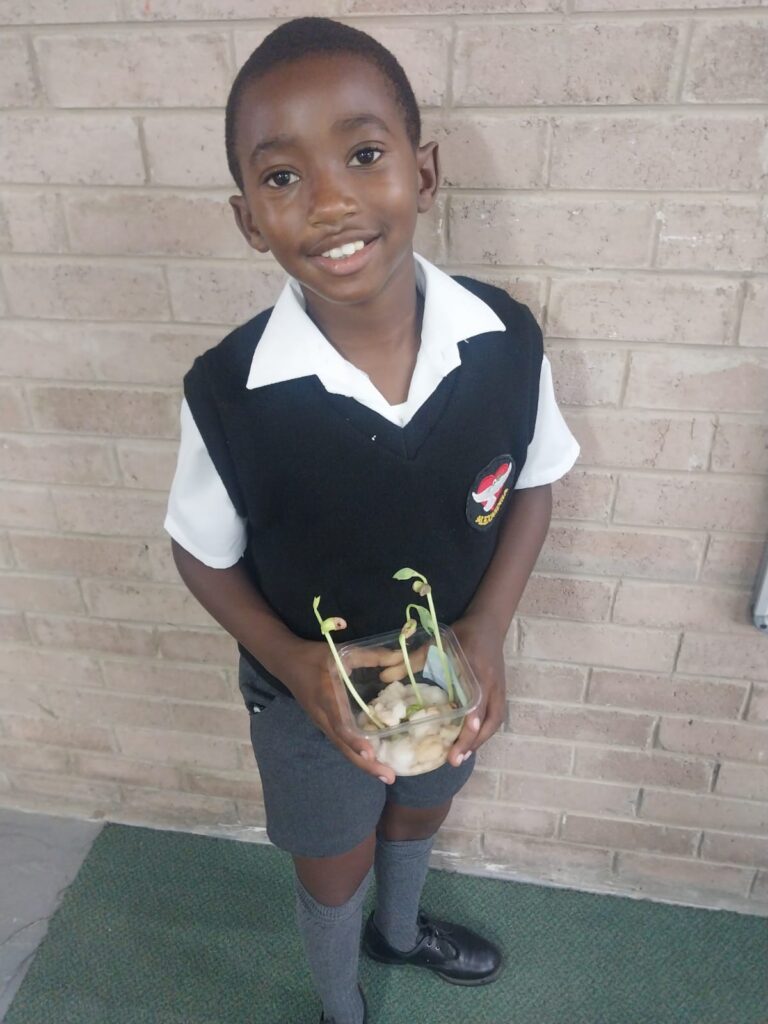 Asivile Khayi shows off the growth of his plant.