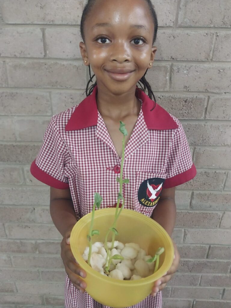 Iminathi Witbooi's plant is the highest in the class.